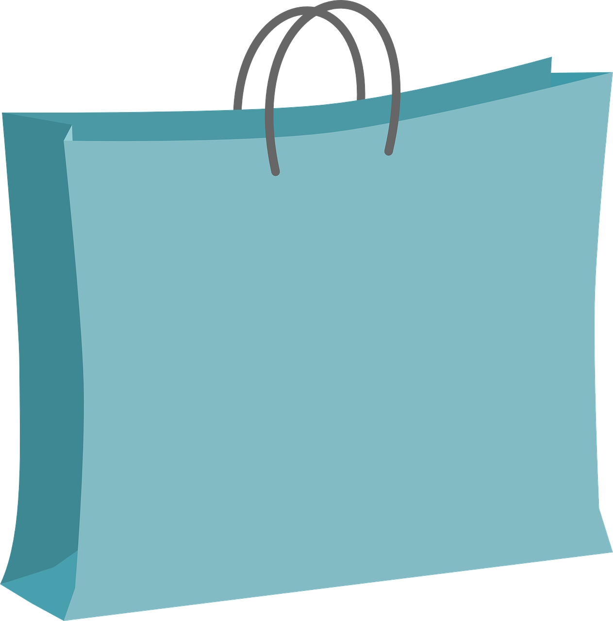 shopping, shopping bag, bag-312311.jpg